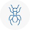 Ant Removals In Wells