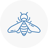 Bee Nest Removal Wells
