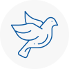 Bird Prevention Wells