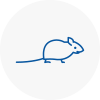 Mice Exterminators In Wells