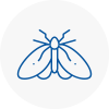 Moth Control Specialists In Wells