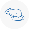 Rat Control Wells