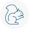 Wells Rodent Removals