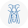Wells Wasp Nest Removal